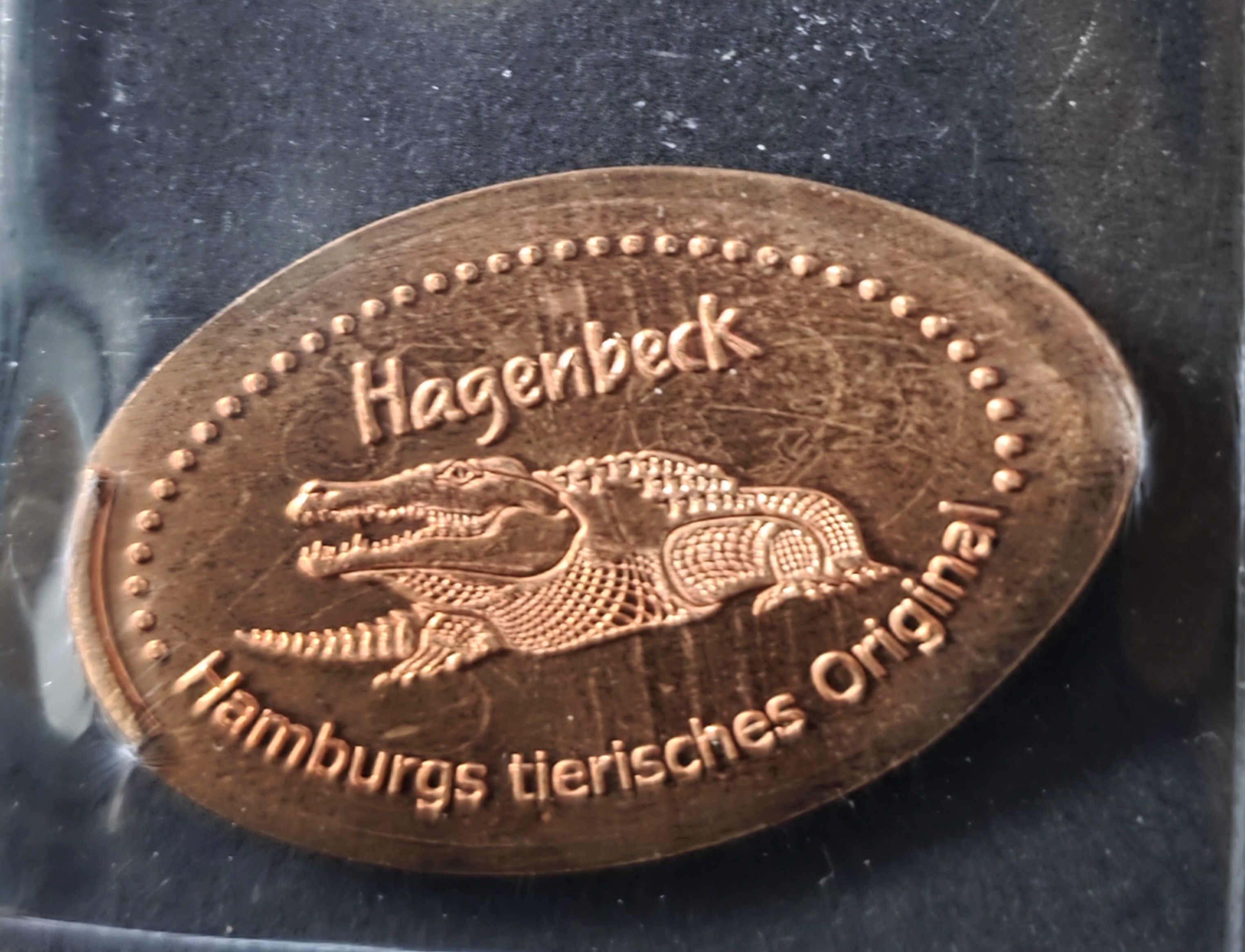 Souvenirmünze Tierpark Hagenbeck