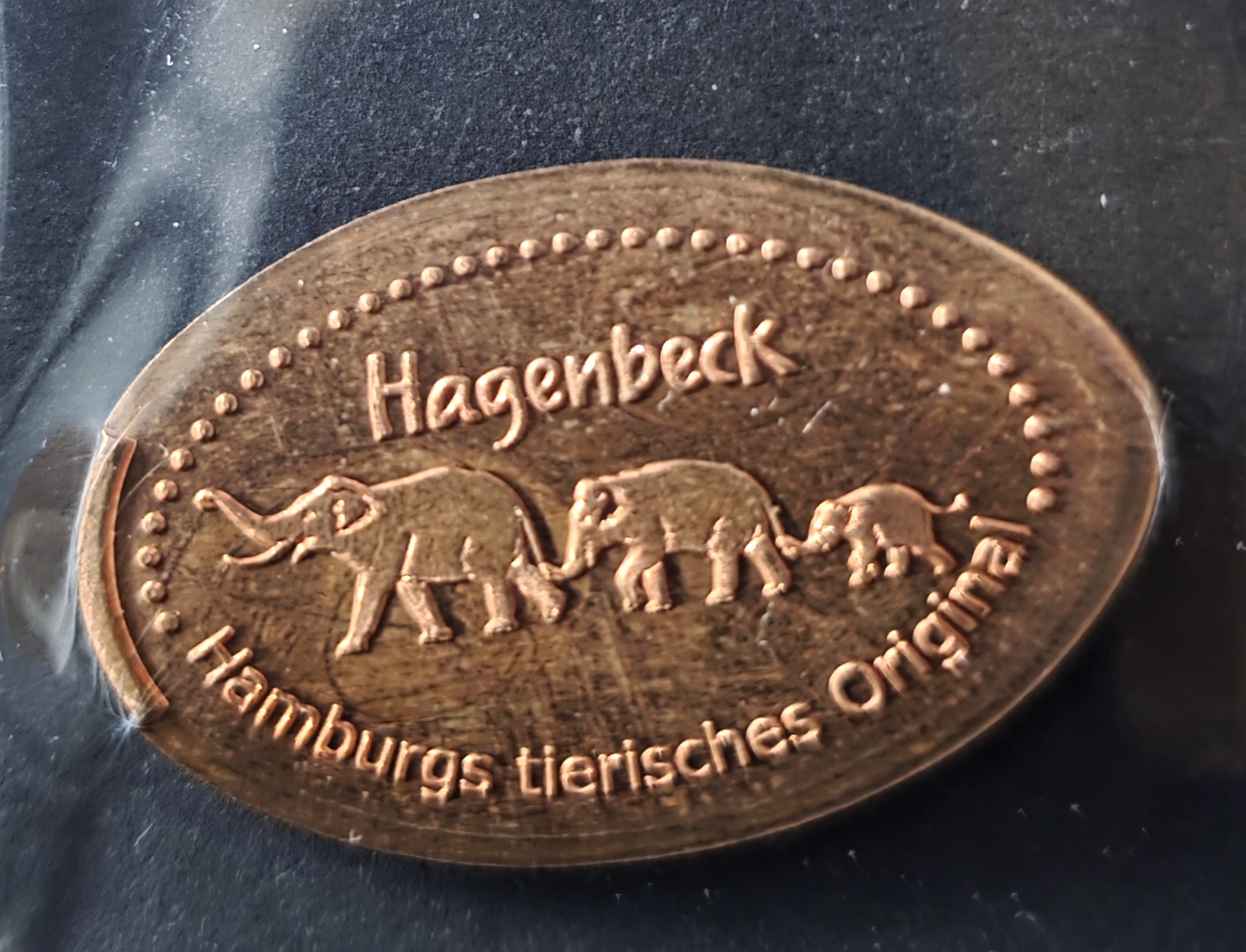 Souvenirmünze Tierpark Hagenbeck