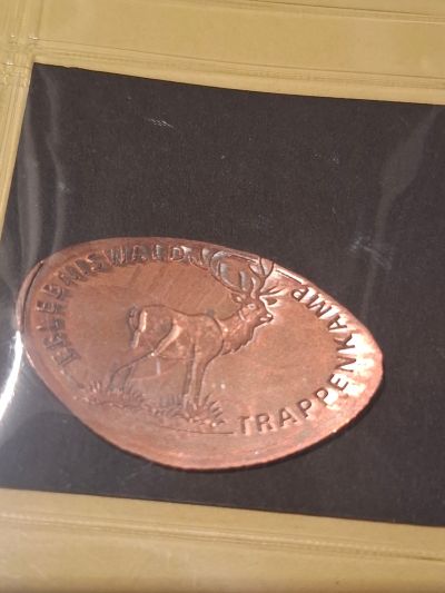 Souvenirmünze – Motiv von Münzautomat Erlebniswald Trappenkamp (Daldorf)