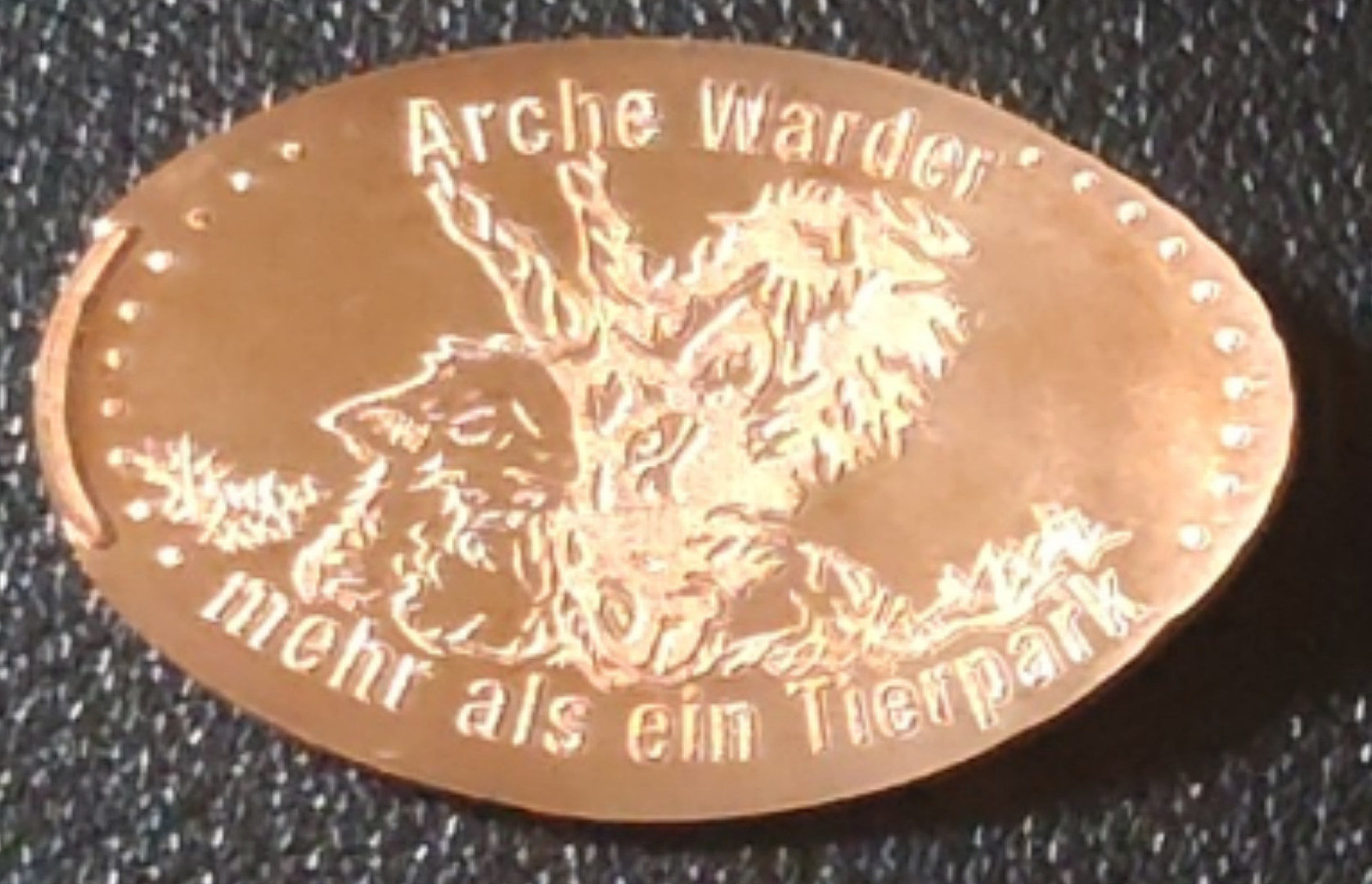 Souvenirmünze Tierpark Arche Warder