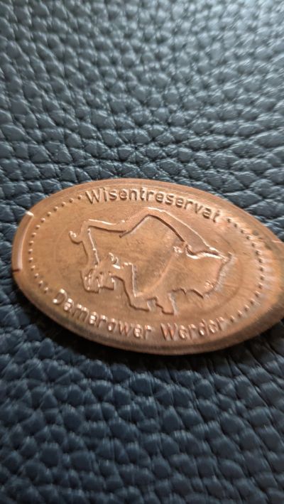 Souvenirmünze – Motiv von Münzautomat Wisentreservat (Damerower Werder)