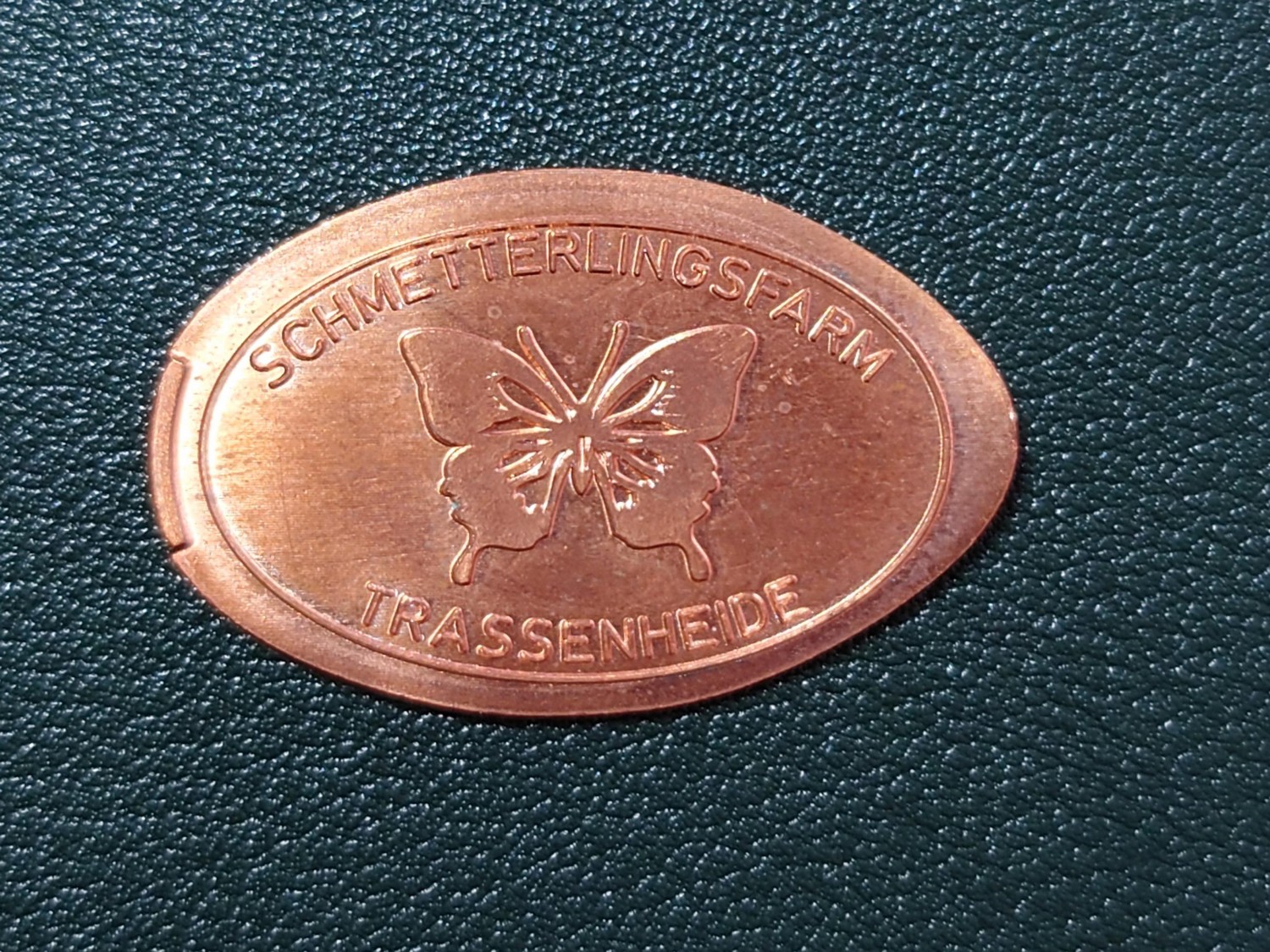 Souvenirmünze Schmetterlingsfarm