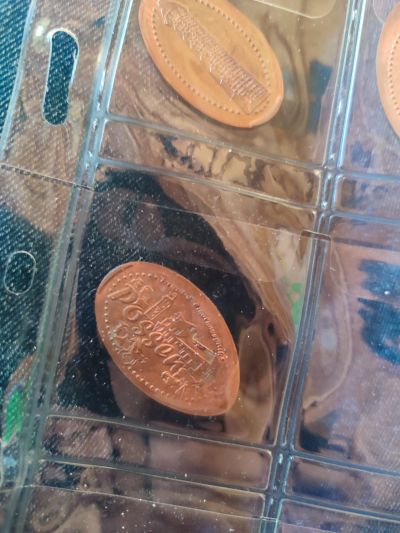 Souvenirmünze – Motiv von Münzautomat Freizeitpark Possen A1 & A2 (Sondershausen)