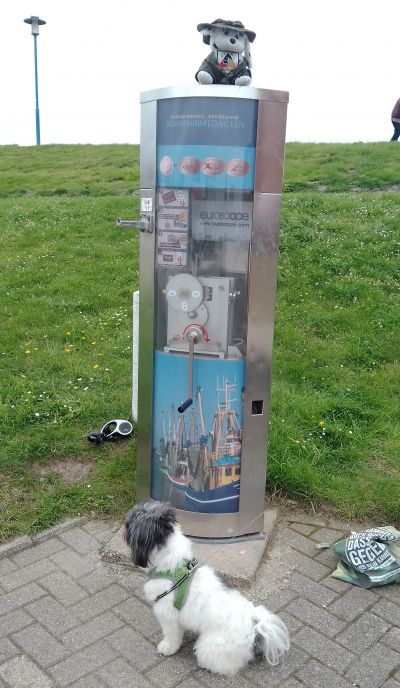 Münzautomat Deichzugang beim Rettungsschuppen (Ausstellung) in Neuharlingersiel – Titelbild