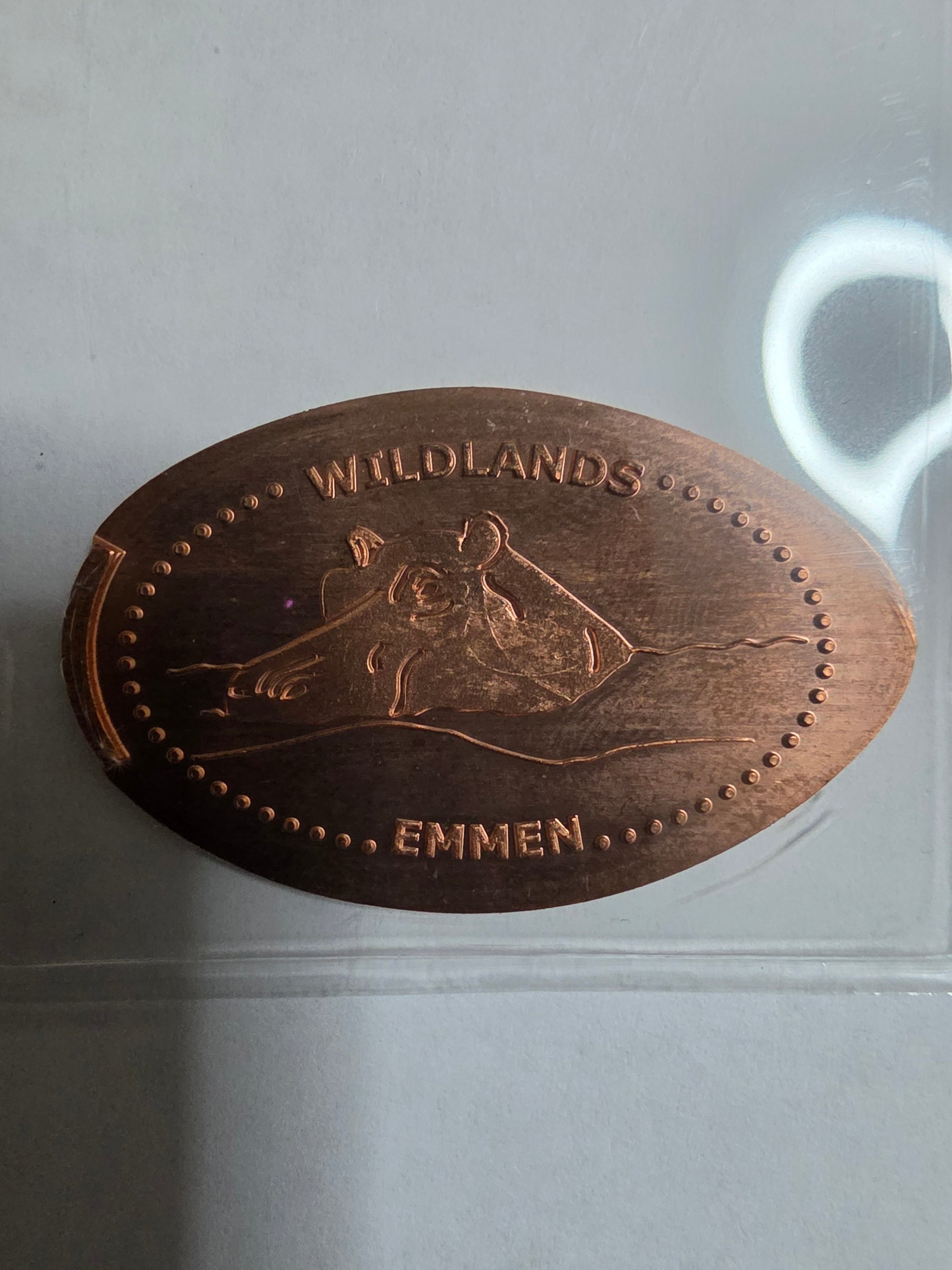 Souvenirmünze Wildlands in Niederlande