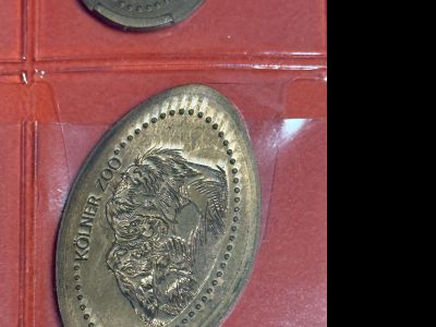 Souvenirmünze – Motiv von Münzautomat Kölner Zoo Menschenaffenhaus (Riehler Straße 173, 50735 Köln)