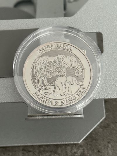 Elefant mit Baby – Souvenir Medaille – Vorderseite
