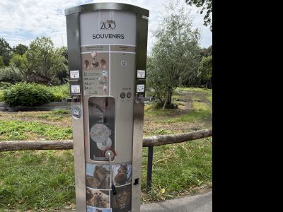 Zoo Dortmund - Löwengehege