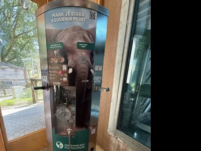 Ouwenhands Dierenpark - Elefant