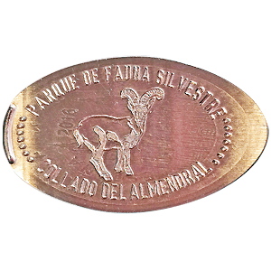 Cabra montesa – Pressmünze