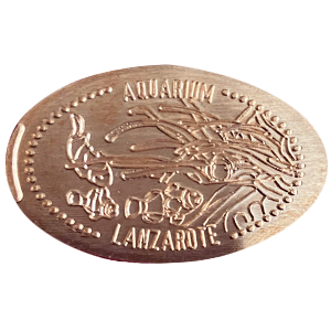 Peces payaso – Pressmünze