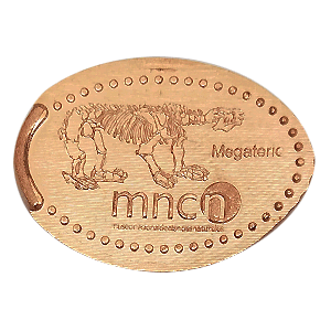 Esqueleto de Megaterio – Geplette munt