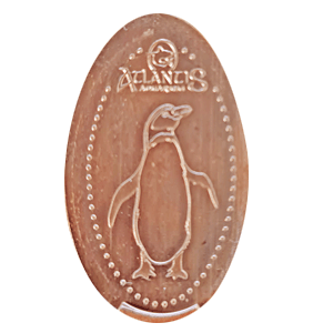 Pingüino – Geplette munt