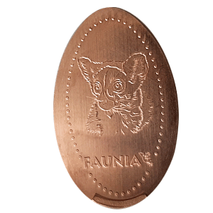 Katta – Pressed coin