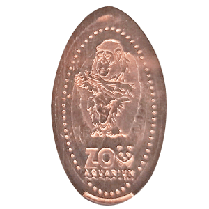 Chimpancé – Moneda elongada