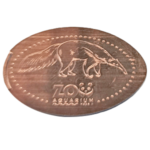 Oso hormiguero – Moneda elongada