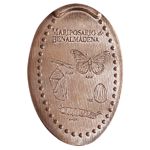 Metamorfosis – Pièce écrasée