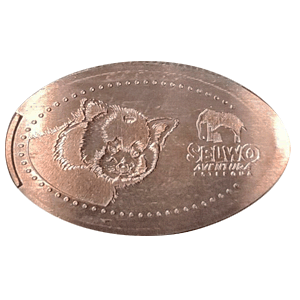 Panda rojo – Moneda elongada