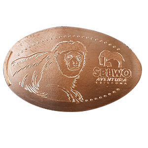 Colobo blanco – Pressed coin