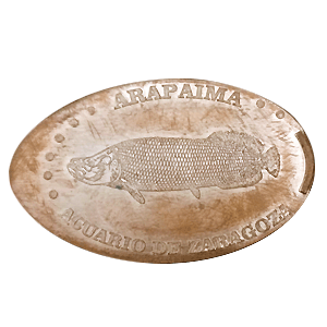 Arapaima – Moneta schiacciata