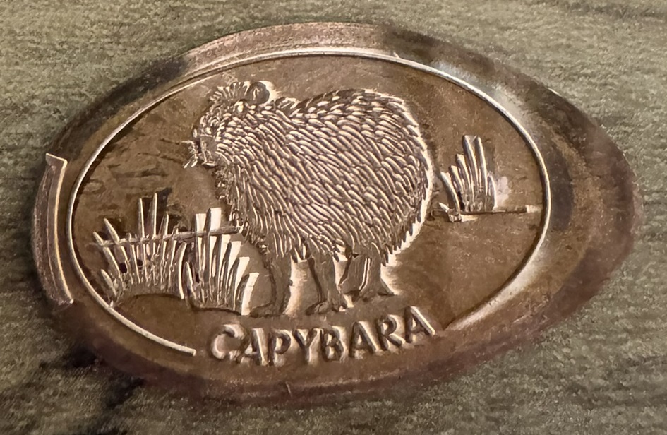 Souvenirmünze – Motiv von Münzautomat Neukirchen Edelwies Natur- & Freizeitpark (Neukirchen bei St. Englmar)