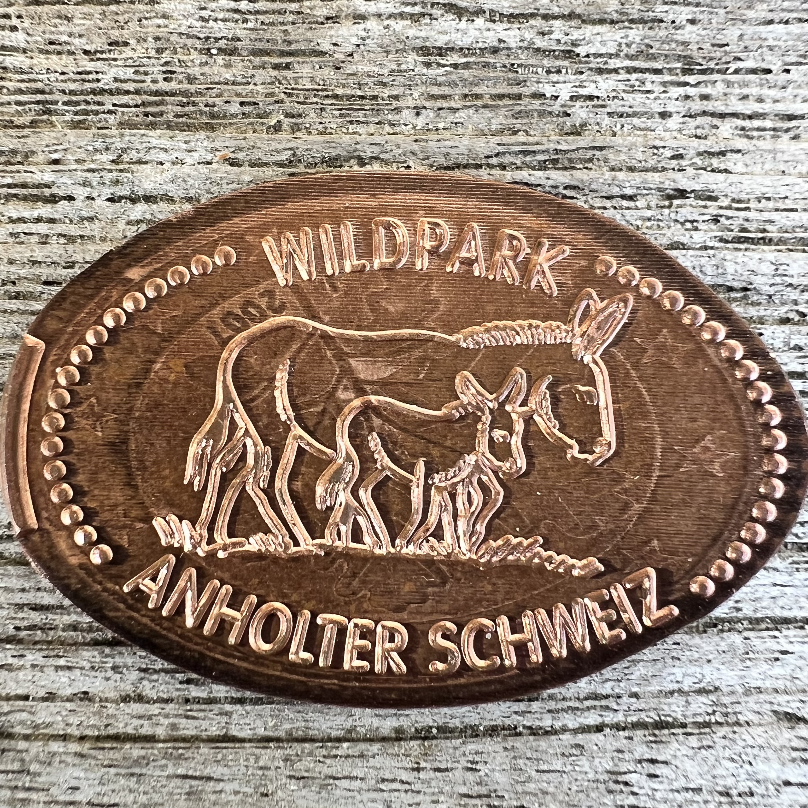 Souvenirmünze Wildpark Anholter Schweiz in Isselburg