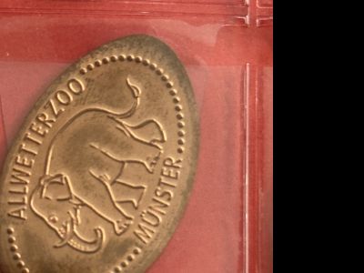 Souvenirmünze – Motiv von Münzautomat Allwetterzoo A1-A3 (Münster (Westfalen))