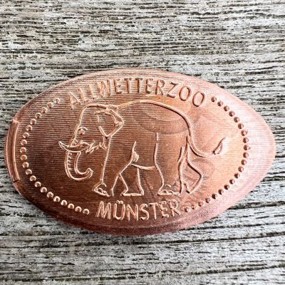 Souvenirmünze – Motiv von Münzautomat Allwetterzoo A1-A3 (Münster (Westfalen))