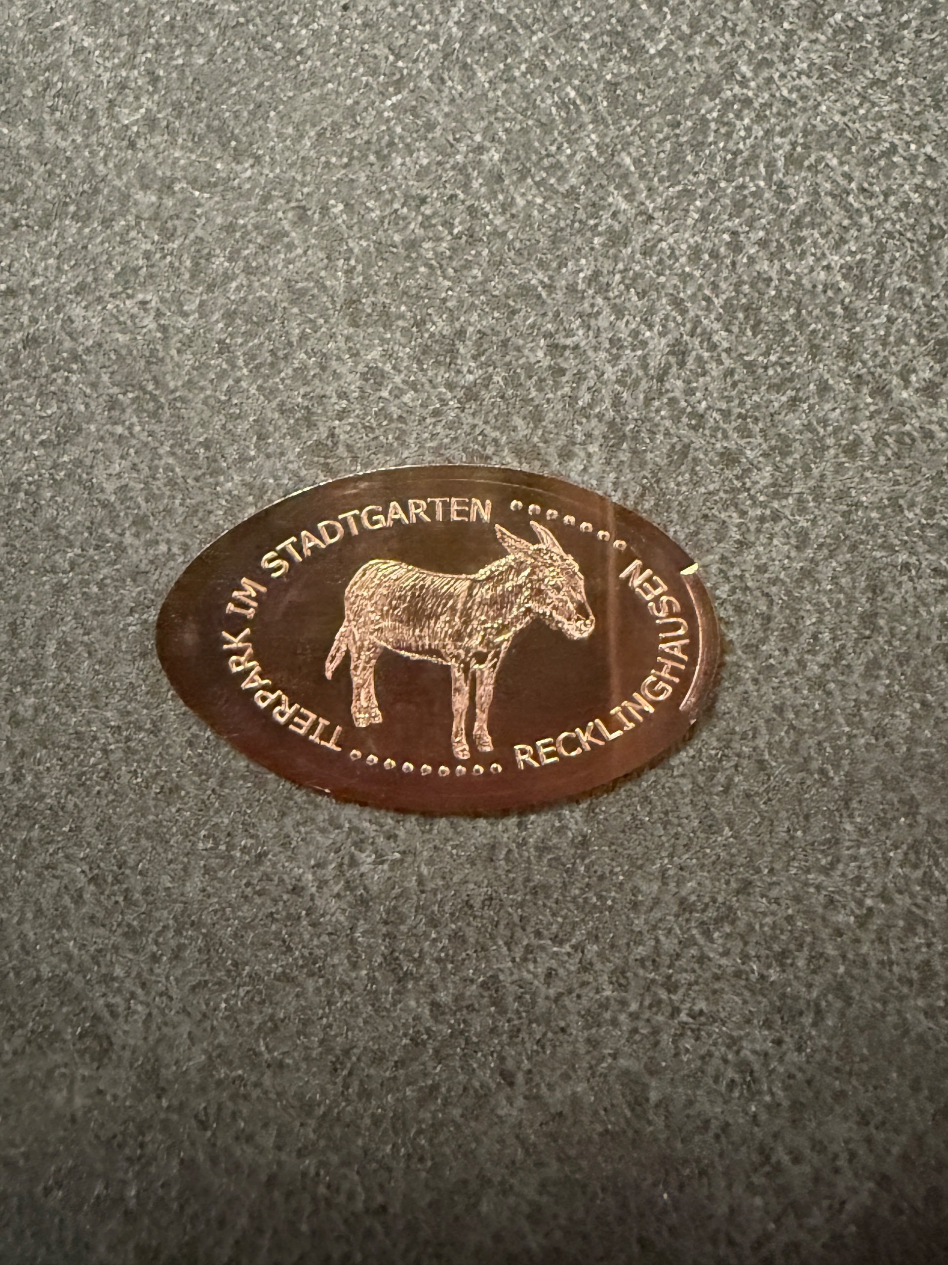 Souvenirmünze Tierpark