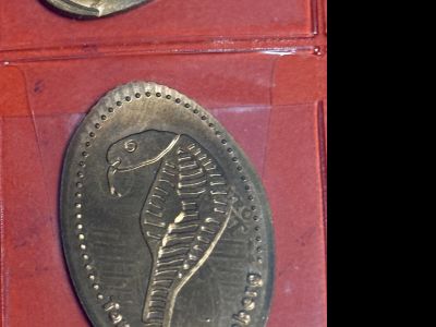 Souvenirmünze – Motiv von Münzautomat Terra Zoo (Rheinberg-Winterswick)
