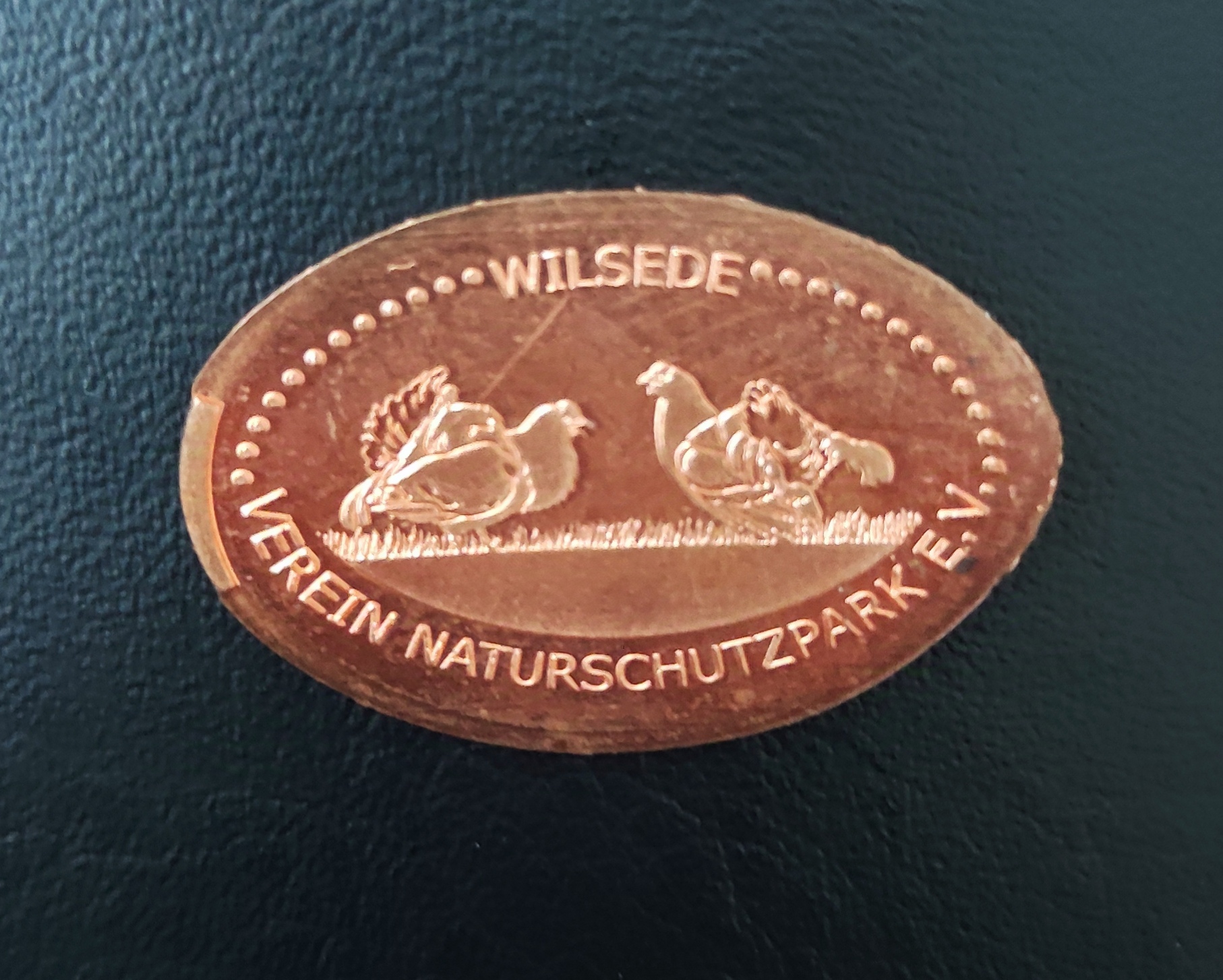 Souvenirmünze Milchhalle Wilsede in Bispingen