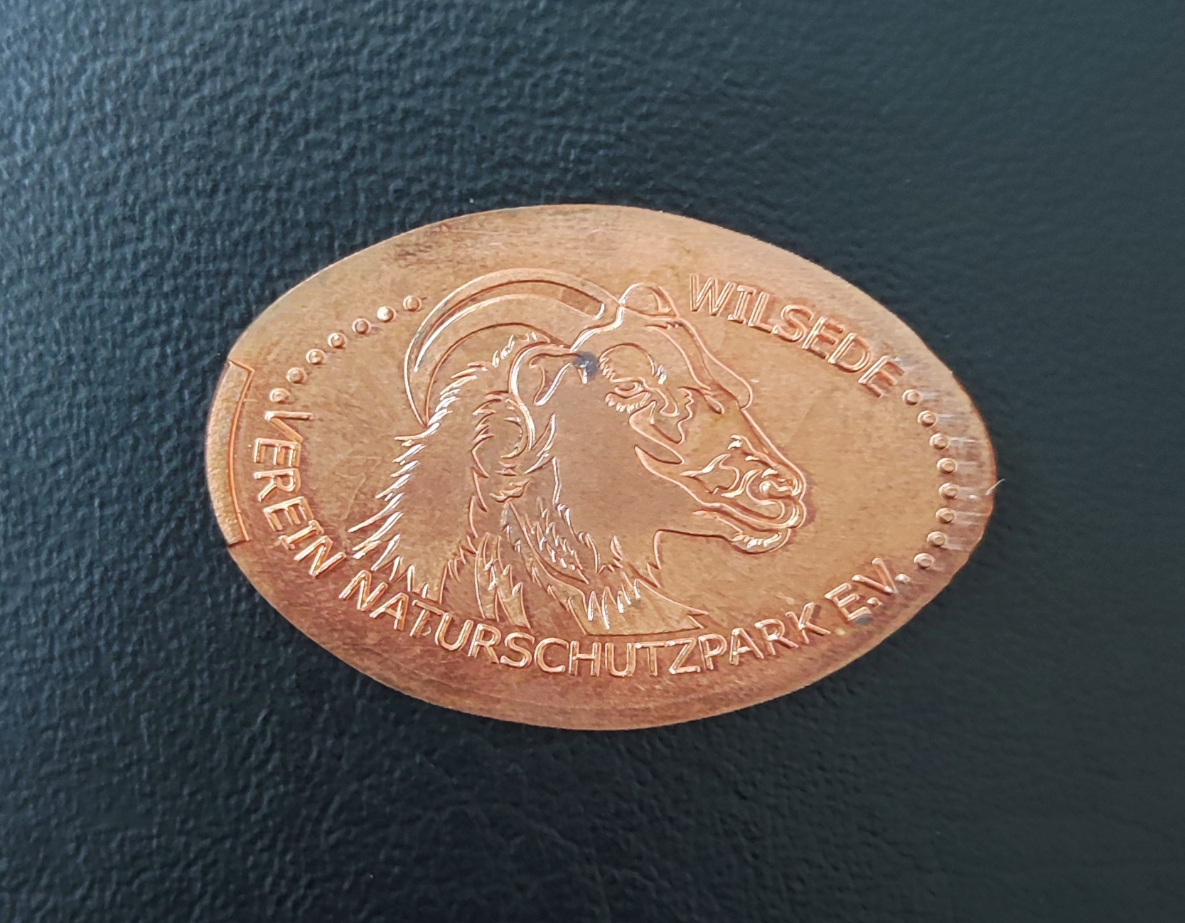 Souvenirmünze Milchhalle Wilsede in Bispingen