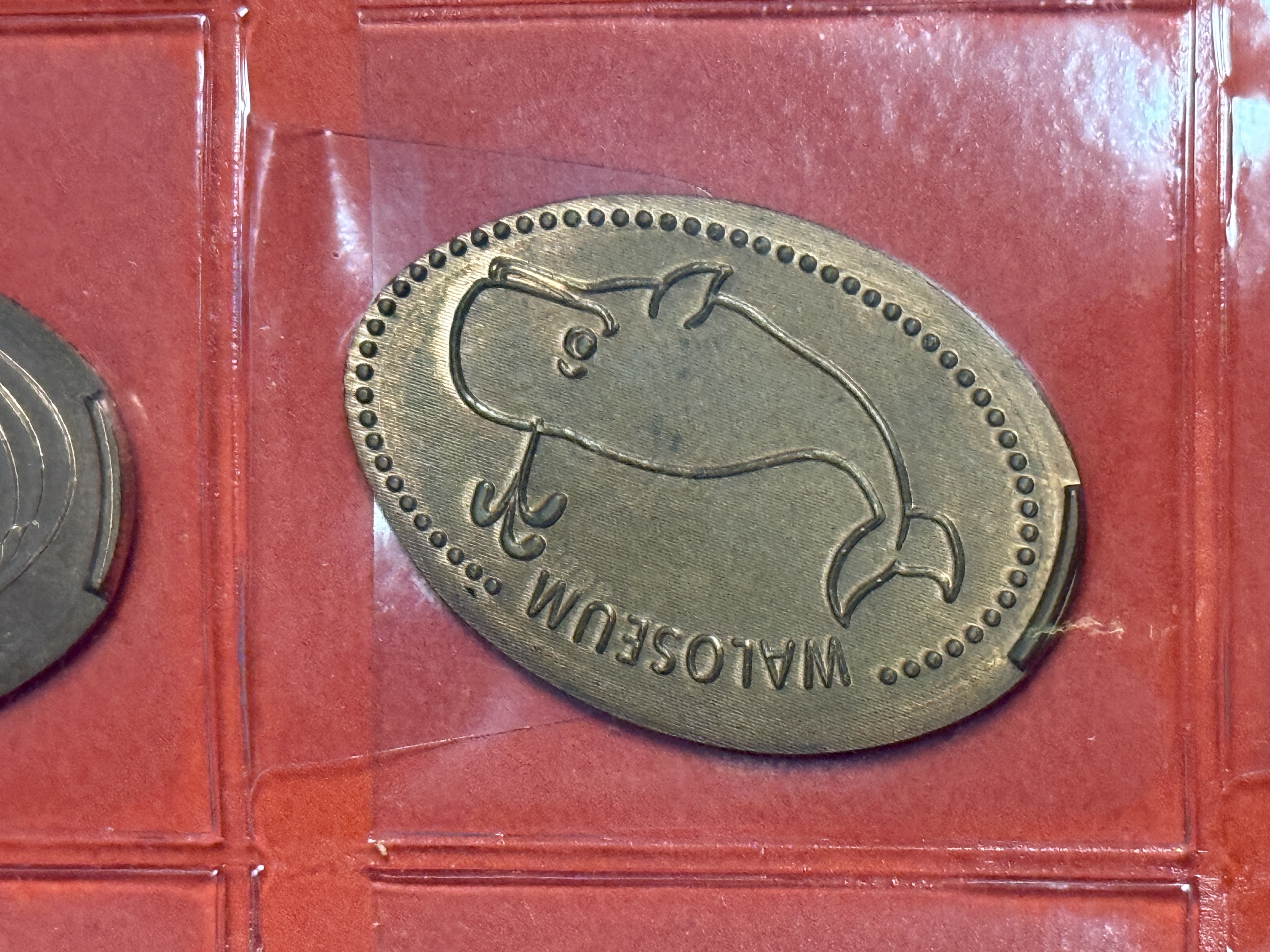 Souvenirmünze Waloseum A8 in Norden