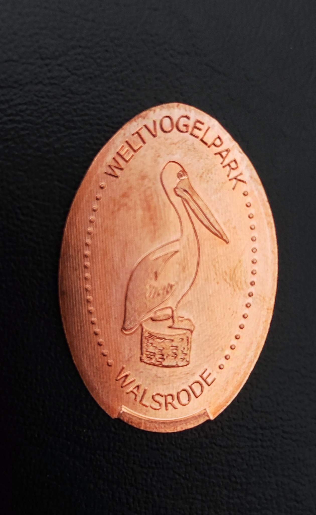 Souvenirmünze Vogelpark A1