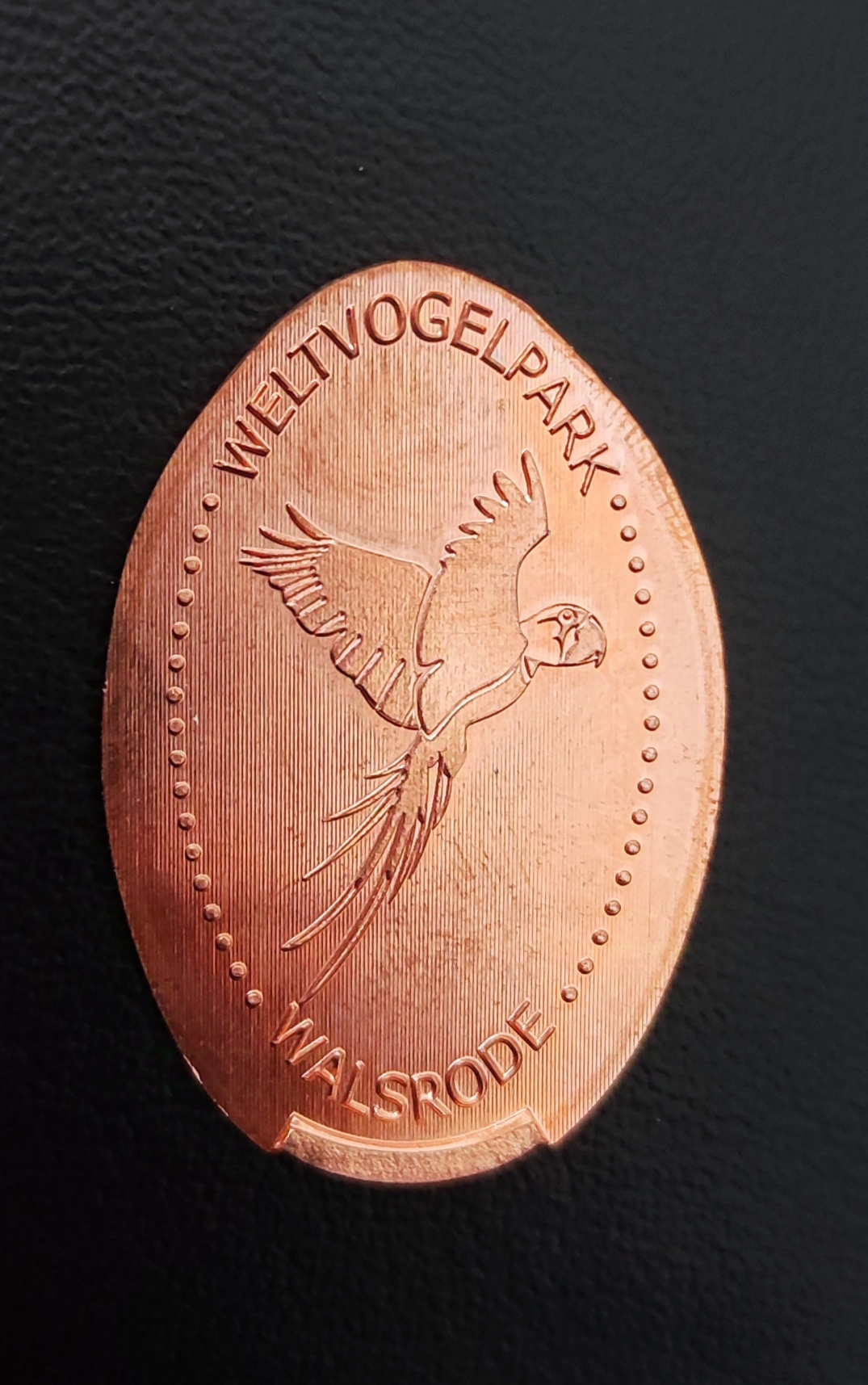 Souvenirmünze Vogelpark A3 in Walsrode