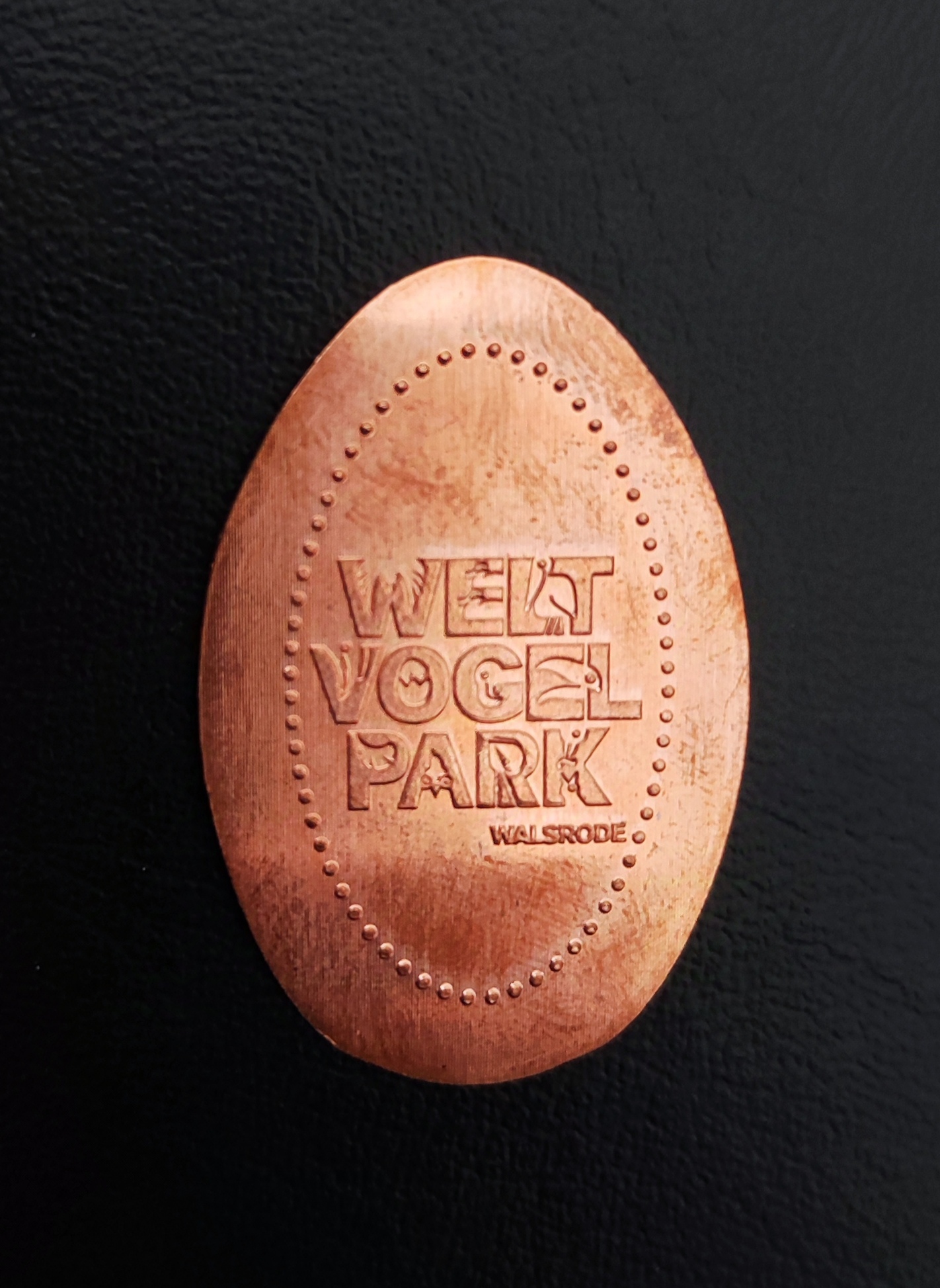 Souvenirmünze Vogelpark A3 in Walsrode
